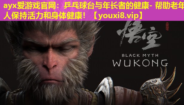 ayx爱游戏官网：乒乓球台与年长者的健康- 帮助老年人保持活力和身体健康！