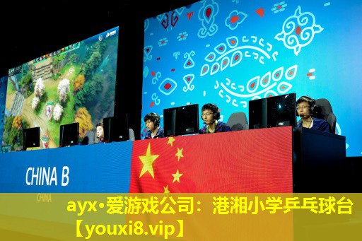 ayx·爱游戏公司：港湘小学乒乓球台