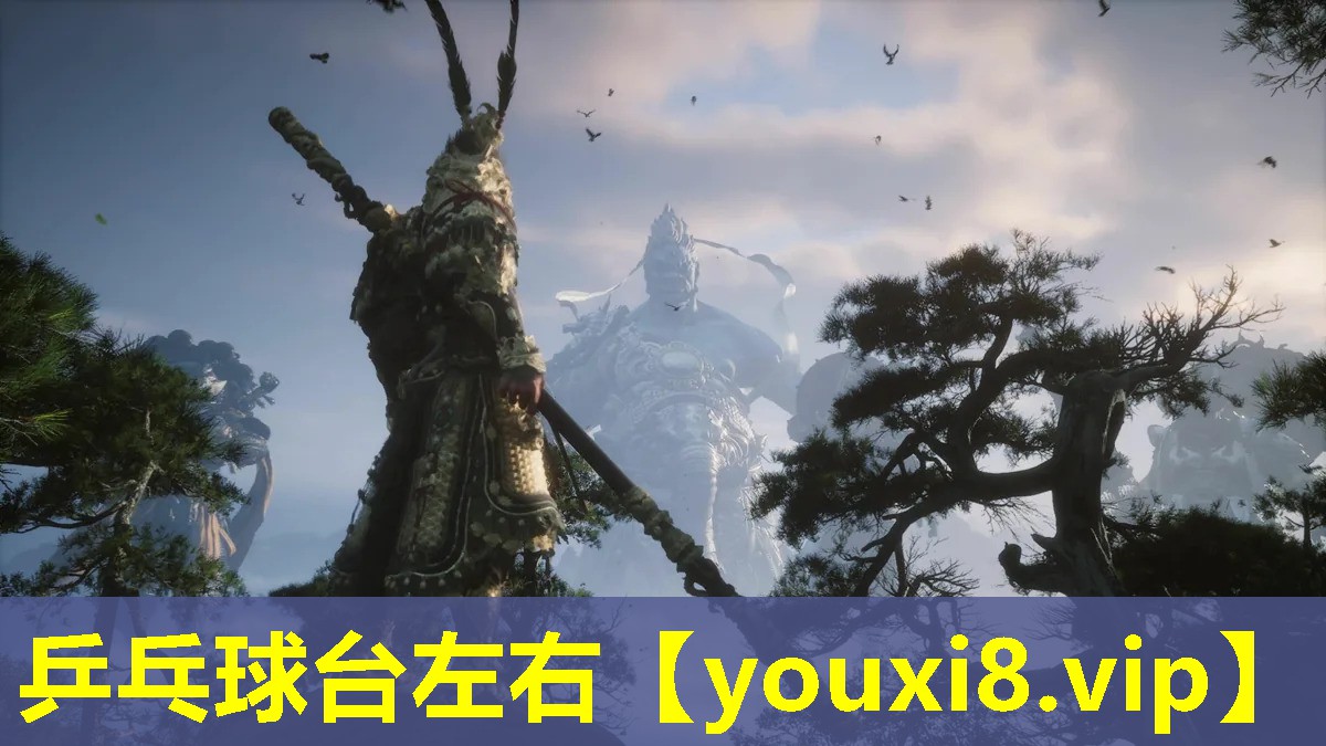 乒乓球台左右
