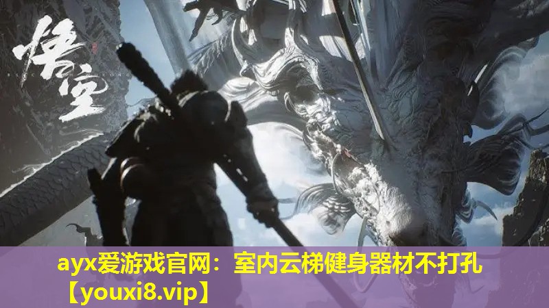 ayx爱游戏官网：室内云梯健身器材不打孔