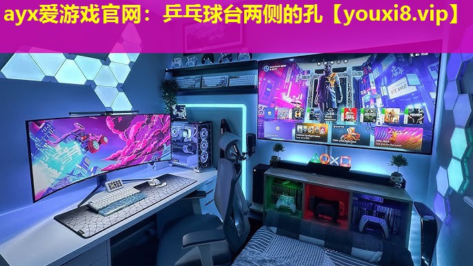 ayx爱游戏官网：乒乓球台两侧的孔