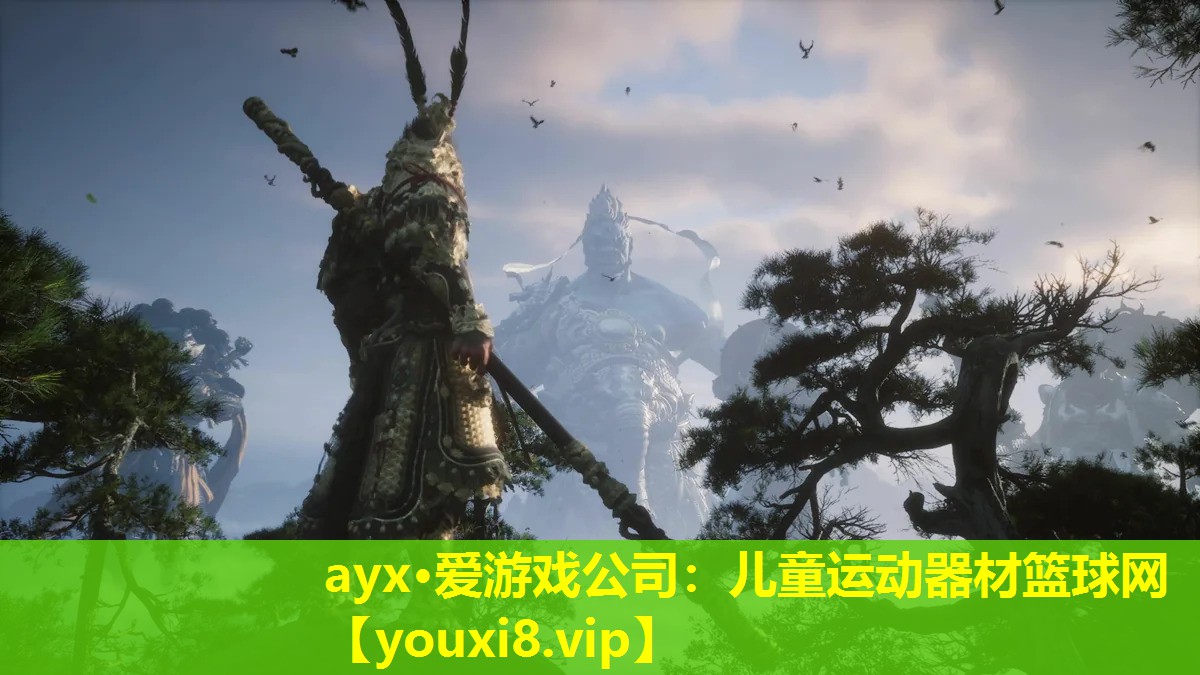 ayx·爱游戏公司：儿童运动器材篮球网