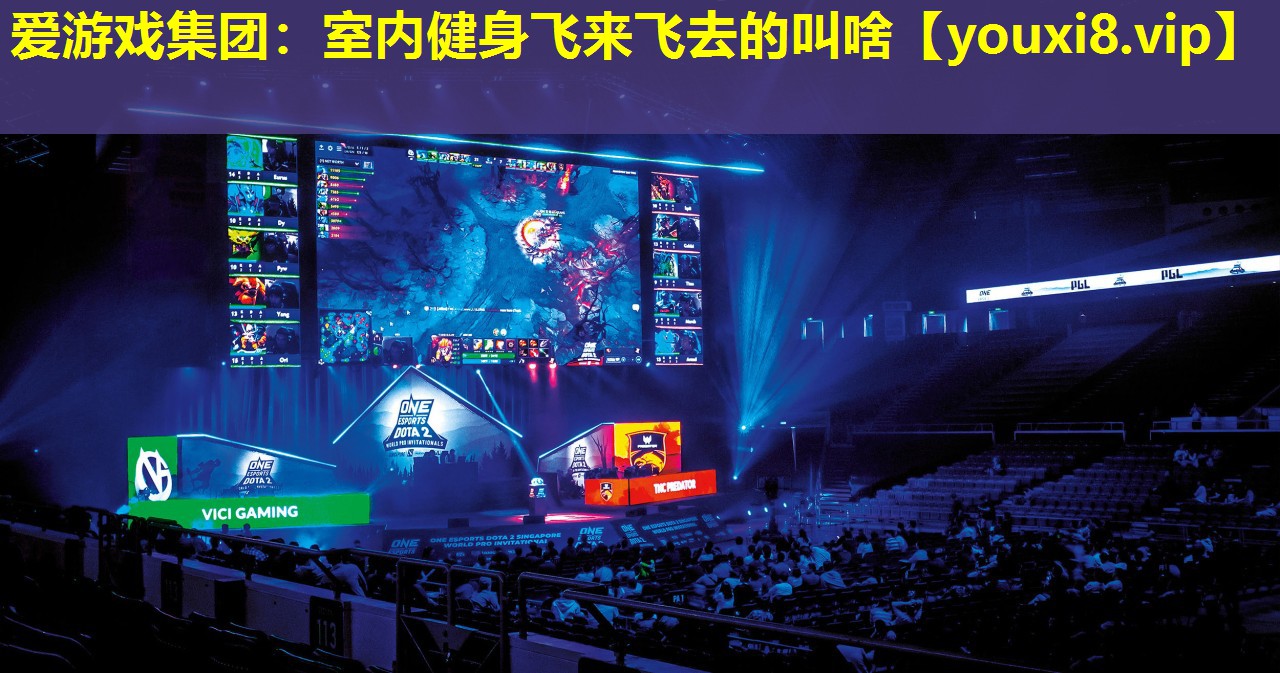 爱游戏集团：室内健身飞来飞去的叫啥