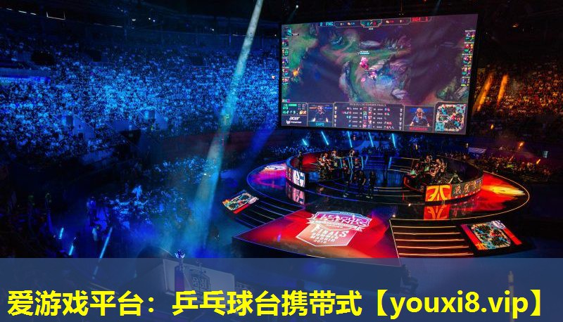 爱游戏平台：乒乓球台携带式