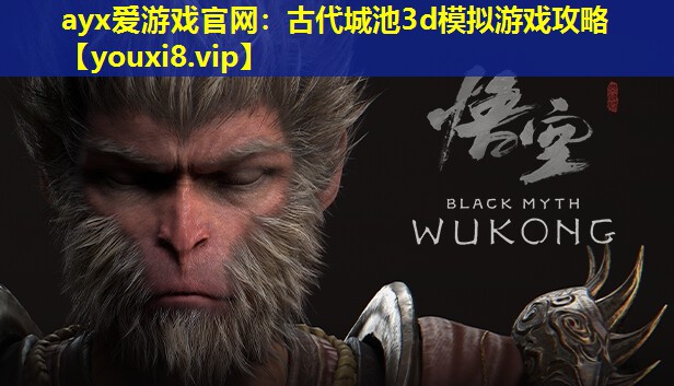 ayx爱游戏官网：古代城池3d模拟游戏攻略