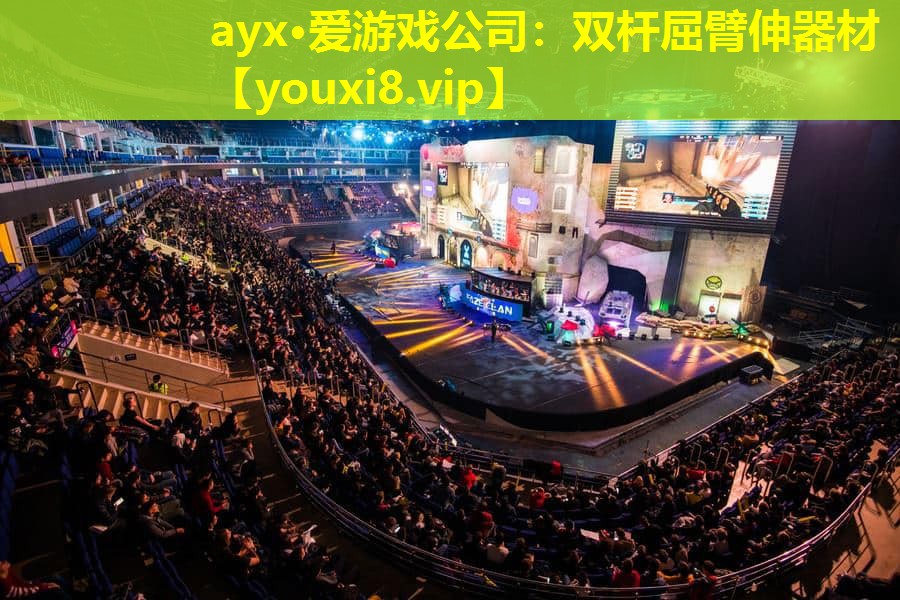 ayx·爱游戏公司：双杆屈臂伸器材