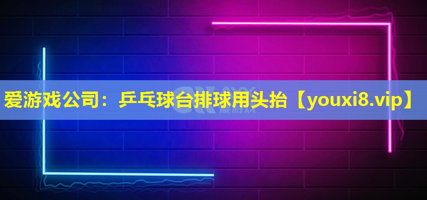 爱游戏公司：乒乓球台排球用头抬