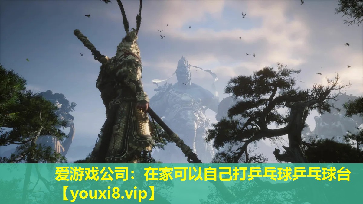 爱游戏公司：在家可以自己打乒乓球乒乓球台