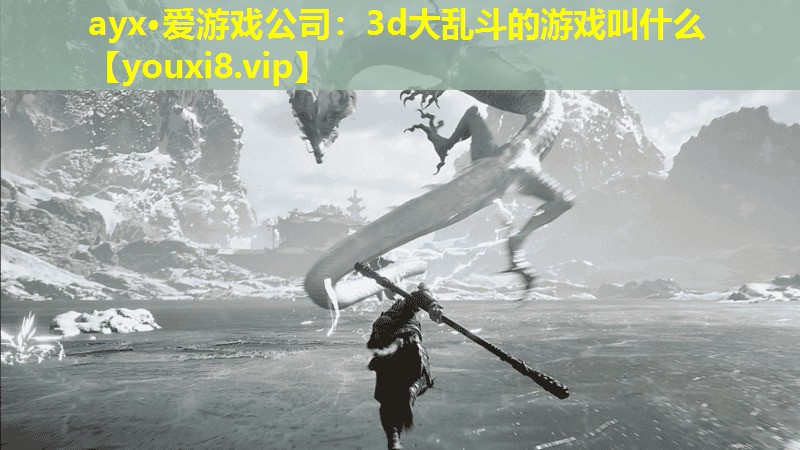 ayx·爱游戏公司：3d大乱斗的游戏叫什么