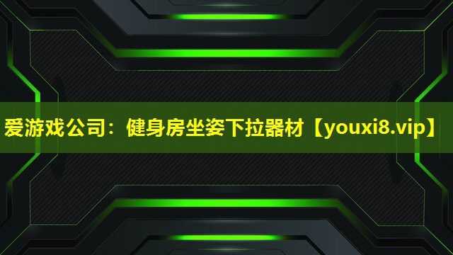 爱游戏公司：健身房坐姿下拉器材