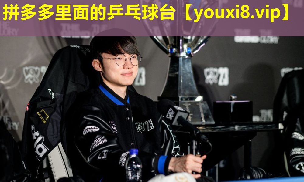 拼多多里面的乒乓球台 拼多多里面的乒乓球台