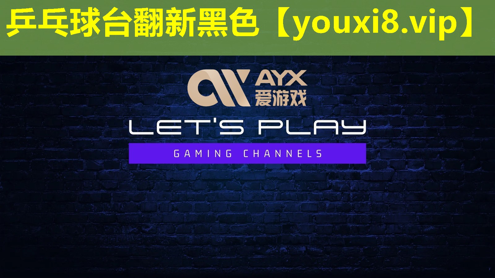 乒乓球台翻新黑色 乒乓球台翻新黑色