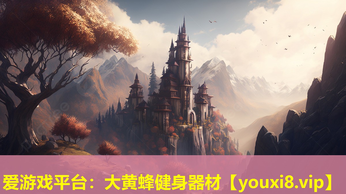 大黄蜂健身器材 大黄蜂健身器材