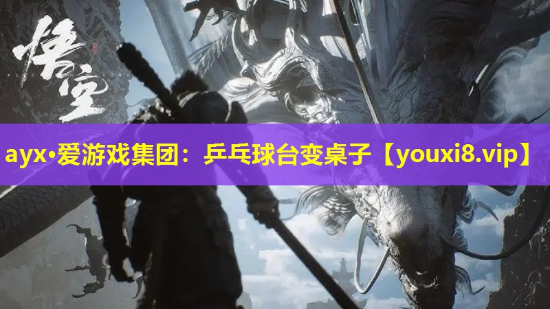 乒乓球台变桌子 乒乓球台变桌子