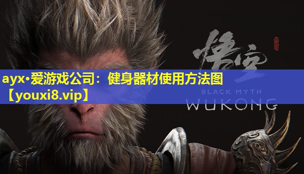 健身器材使用方法图 健身器材使用方法图