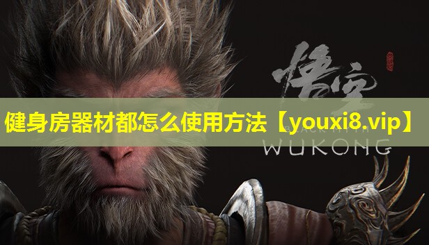 健身房器材都怎么使用方法 健身房器材都怎么使用方法