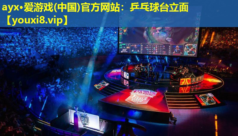 乒乓球台立面 乒乓球台立面
