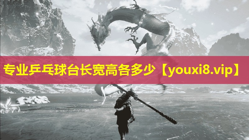 专业乒乓球台长宽高各多少 专业乒乓球台长宽高各多少