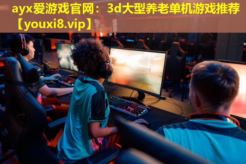 3d大型养老单机游戏推荐 3d大型养老单机游戏推荐