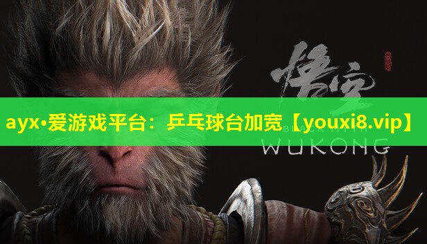 乒乓球台加宽 乒乓球台加宽