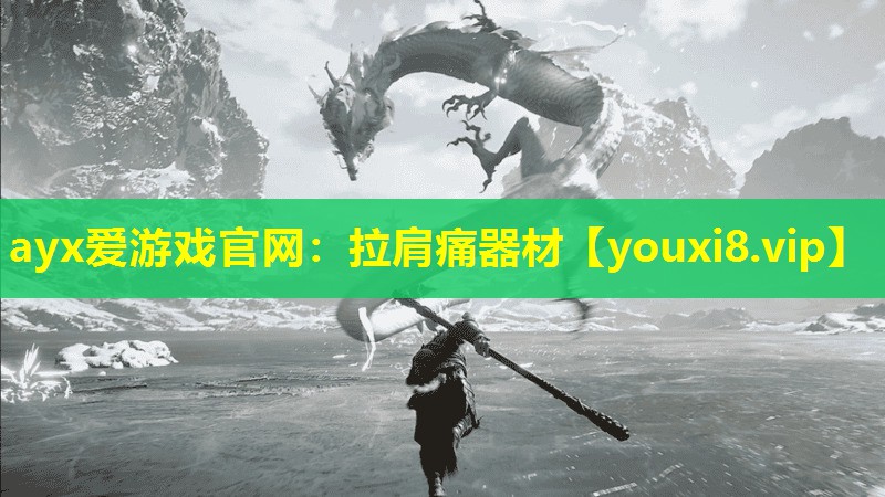 拉肩痛器材 拉肩痛器材