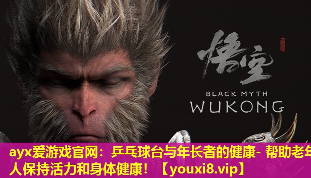 乒乓球台与年长者的健康- 帮助老年人保持活力和身体健康! 乒乓球台与年长者的健康- 帮助老年人保持活力和身体健康!