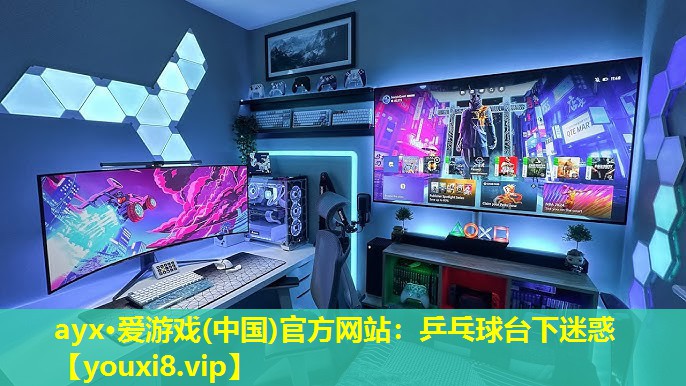 乒乓球台下迷惑 乒乓球台下迷惑