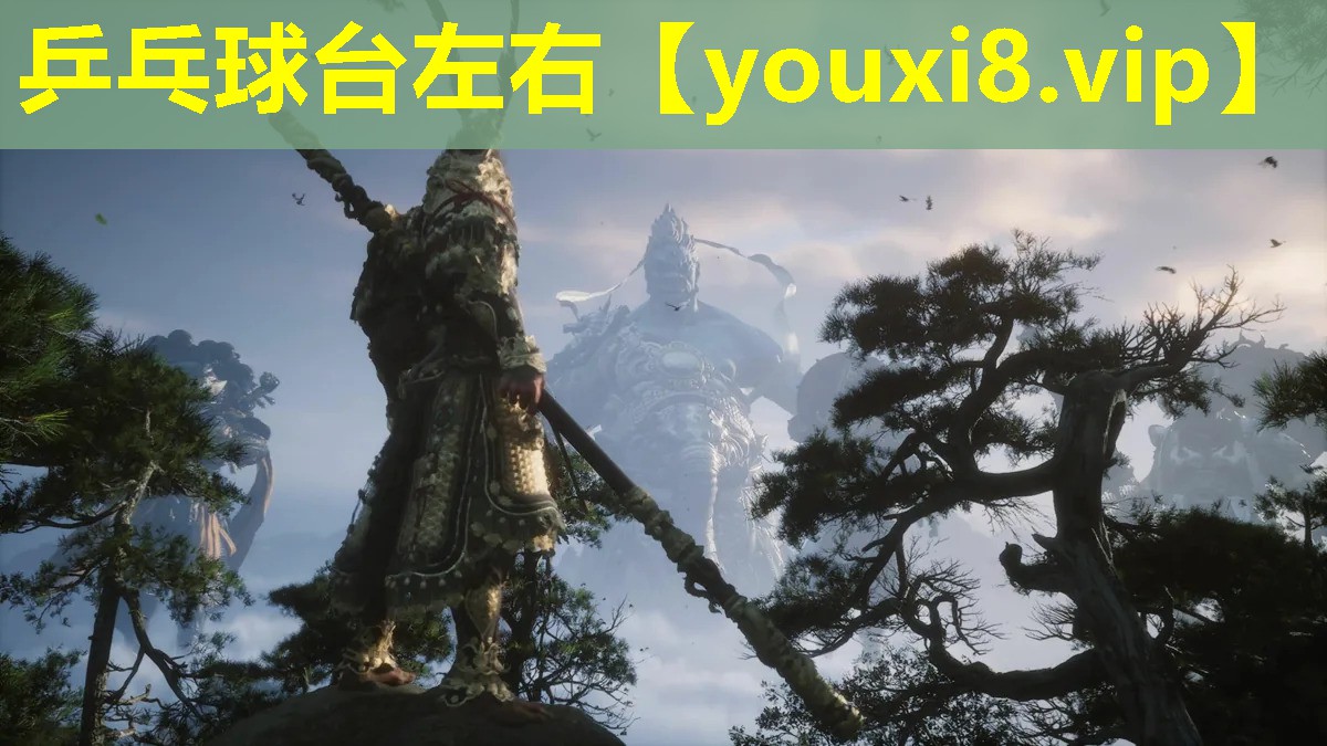 乒乓球台左右 乒乓球台左右