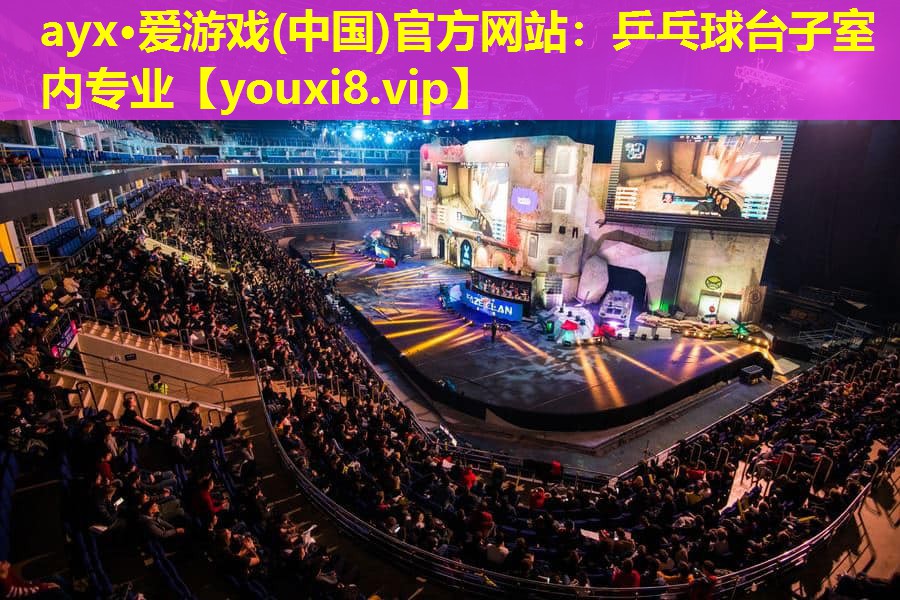 乒乓球台子室内专业 乒乓球台子室内专业