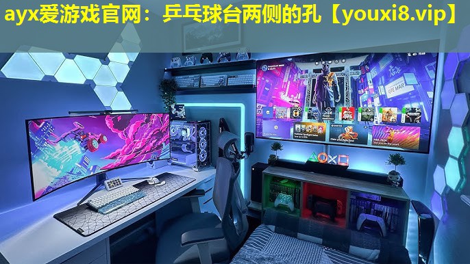 乒乓球台两侧的孔 乒乓球台两侧的孔