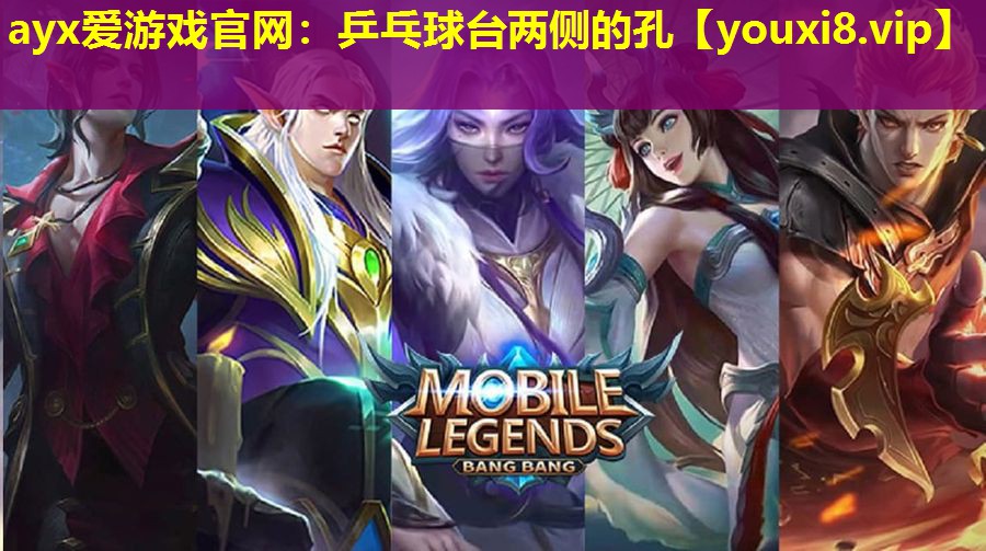 乒乓球台两侧的孔 乒乓球台两侧的孔