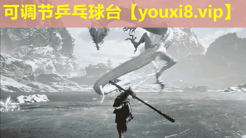 可调节乒乓球台 可调节乒乓球台