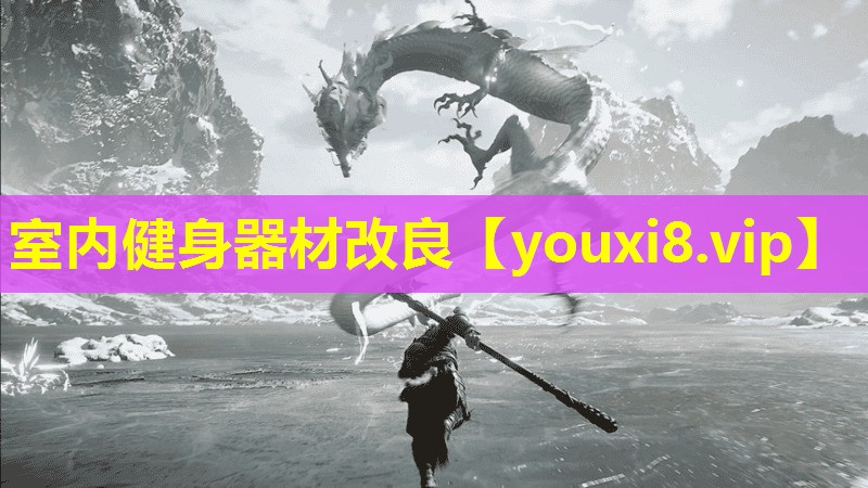 室内健身器材改良 室内健身器材改良