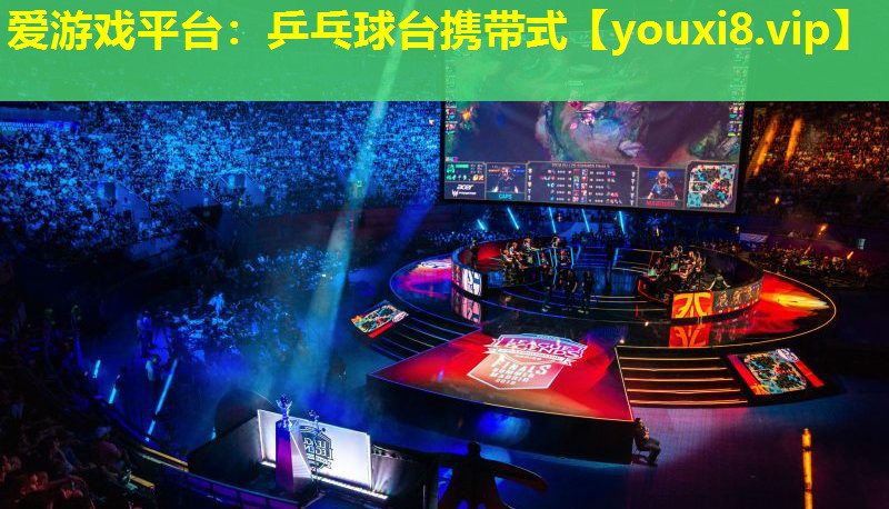 乒乓球台携带式