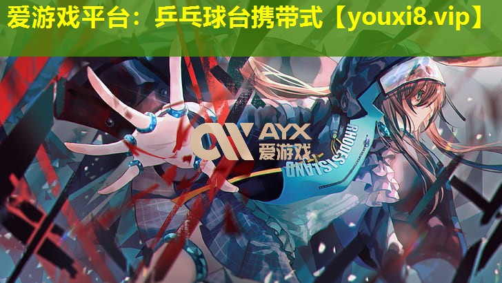 乒乓球台携带式