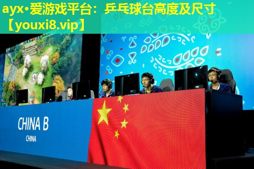 乒乓球台高度及尺寸 乒乓球台高度及尺寸