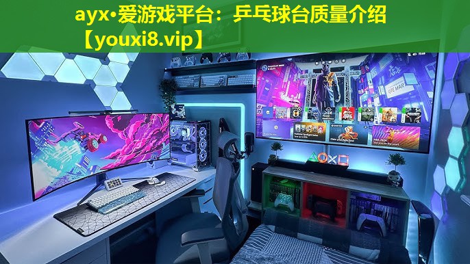 乒乓球台质量介绍 乒乓球台质量介绍