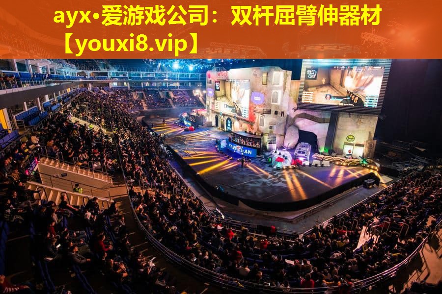 双杆屈臂伸器材