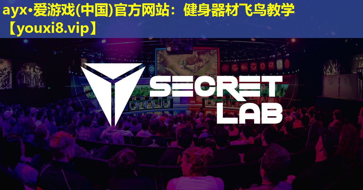健身器材飞鸟教学 健身器材飞鸟教学