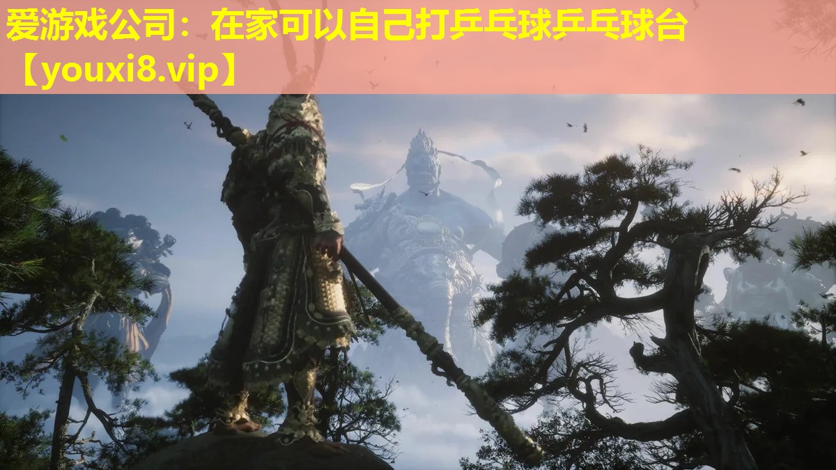在家可以自己打乒乓球乒乓球台 在家可以自己打乒乓球乒乓球台