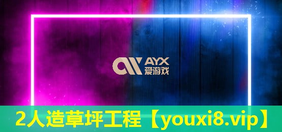 2人造草坪工程