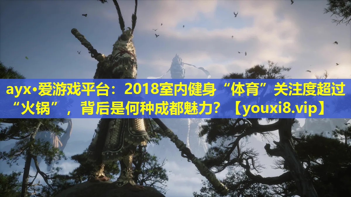 2018室内健身“体育”关注度超过“火锅”,背后是何种成都魅力? 2018室内健身“体育”关注度超过“火锅”,背后是何种成都魅力?